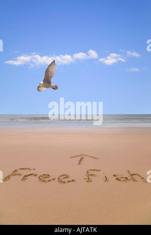 Pesce libero scritto in sabbia in spiaggia con un gabbiano volare passato Foto Stock