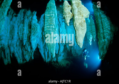 Scuba Diver lampadario interno Grotta Micronesia Pacifico Palau Foto Stock