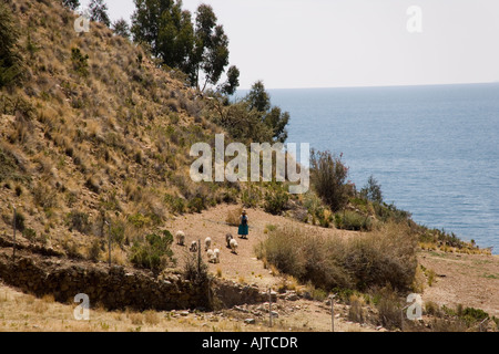 Donna Ayamara pascere le pecore sulla Isla de la Luna, l'isola della luna sul lago Titicaca, Bolivia Foto Stock