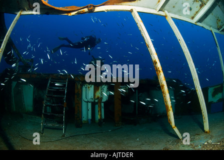 Le immersioni al relitto MV Cominoland Mare Mediterraneo Gozo Foto Stock