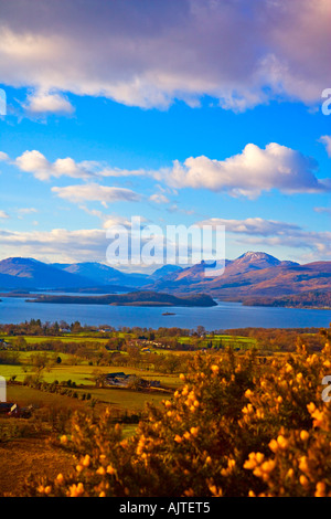 Sera vista sul Loch E BEN LOMOND DA DRUMGOYNE HILL Foto Stock