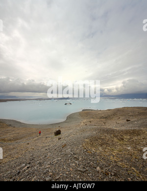 Una persona sulla riva di Jokulsarlon laguna glaciale, Skaftafell National Park, ghiacciaio Vatnajokull, Islanda Foto Stock