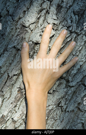 Donna di mano sul tronco di albero, close-up Foto Stock