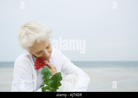 Senior donna mantenendo la gerbera daisy alla faccia, oceano in background, testa e spalle Foto Stock