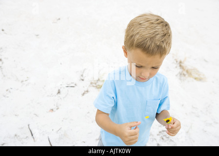 Little Boy picking petali di fiore, ad alto angolo di visione, sabbia in background Foto Stock