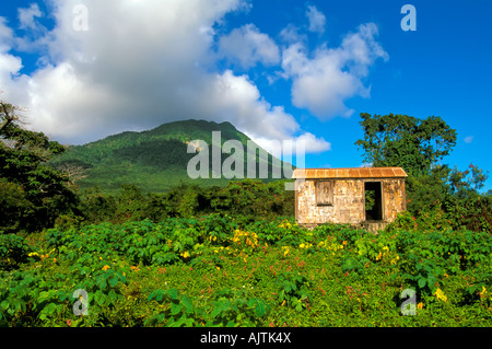 Montare Nevis, vulcano verde picco, campi aperti, Isola di Nevis, Saint Kitts e Nevis, isola dei Caraibi idilliaca atmosfera tropicale Foto Stock
