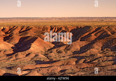Deserto Dipinto, vista dal punto di Tawa nel Parco Nazionale della Foresta Pietrificata, Arizona, Stati Uniti d'America Foto Stock