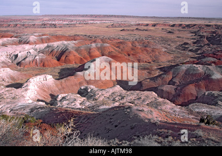 Deserto Dipinto, vista dal punto di Tawa nel Parco Nazionale della Foresta Pietrificata, Arizona, Stati Uniti d'America Foto Stock