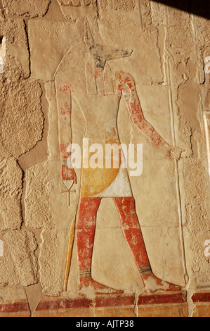 Anubi Dio dei morti, il Tempio di Hatshepsut, Luxor, Egitto Foto Stock
