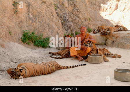 Tiger Temple / Kanchanaburi Foto Stock