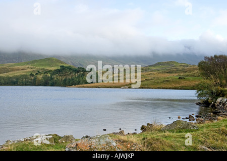 Vista verso la nube coprì Cadair Idris montagna attraverso Llynnau Creggenen Lago in Snowdonia. Foto Stock