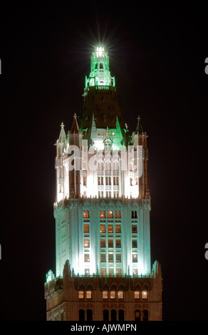 Il Woolworth Building, downtown Manhattan, New York City, Stati Uniti d'America Foto Stock