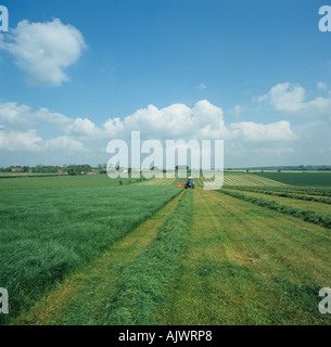 Trattore falciatrice Taarup su la falciatura grandi erba ley campo per insilato Hampshire REGNO UNITO Foto Stock