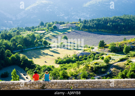 Francia Provenza Vaucluse regione matura guardando il paesaggio rurale Foto Stock