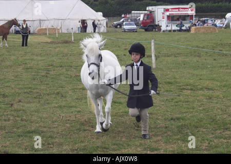 Eriskay Pony e pilota in occasione di una mostra Foto Stock