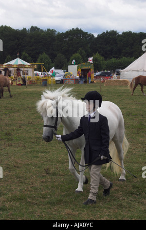 Eriskay Pony e pilota in occasione di una mostra Foto Stock