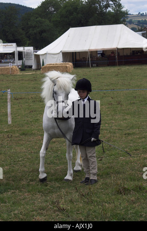 Eriskay Pony e pilota in occasione di una mostra Foto Stock