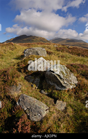 Una linea di massi di muschio conduce verso vertici lontani nel Ben Lawers riserva naturale nazionale vicino a Killin Perthshire Scozia Scotland Foto Stock