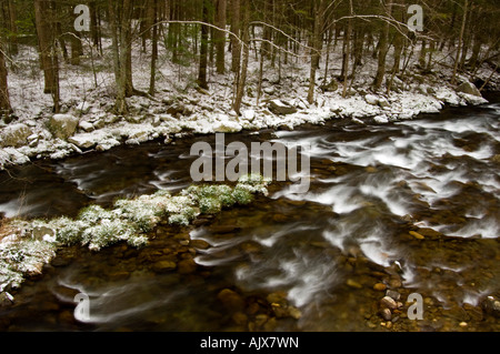 Spolveratura di aprile la neve su alberi a strapiombo sul fiume Po 'dogwood inverno', Great Smoky Mountains National Park, Tennessee, Stati Uniti d'America Foto Stock