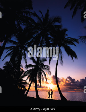 Lo stile di vita, giovane, spiaggia tropicale, Silhouette, Viaggi, Maldive, Foto Stock