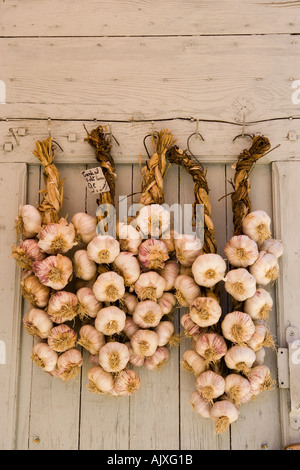 I chiodi di garofano di aglio appeso sulla porta del granaio Sault Provence Francia Foto Stock