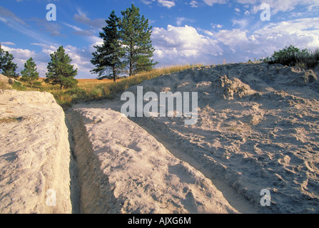 Elk264 1709 Wyoming Oregon Trail solchi SHS solchi Foto Stock