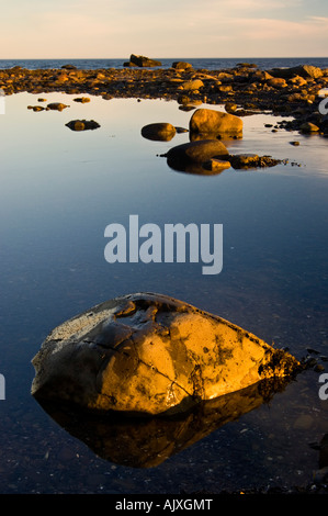 La luce del mattino sul litorale rocce lungo il Golfo di San Lorenzo, Ste. Flavie, QC Quebec, Canada Foto Stock