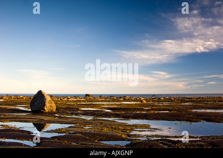 La luce del mattino sul litorale rocce lungo il Golfo di San Lorenzo, Ste. Flavie, QC Quebec, Canada Foto Stock