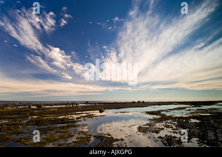 Cirrus cieli del litorale di rocce e piscine lungo il Golfo di San Lorenzo, Ste. Flavie, QC Quebec, Canada Foto Stock