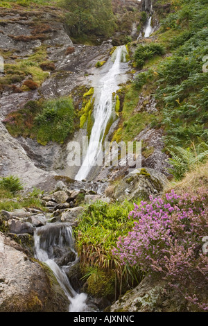 Bach Rhaeadr cascata in Coedydd Aber Riserva Naturale Nazionale in Snowdonia "Parco Nazionale" Abergwyngregyn Gwynedd Galles del Nord Foto Stock