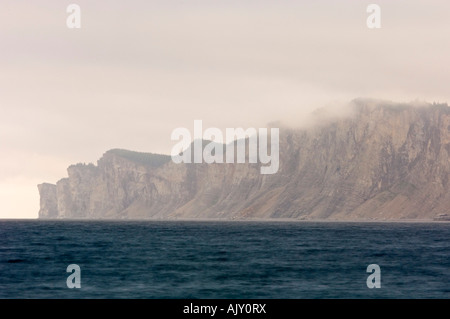 Litorale lungo Cap Bon Ami con scogliere, Forillon National Park, QC Quebec, Canada Foto Stock