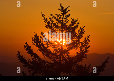 Tramonto su North Carolina gamme della montagna, Great Smoky Mountains National Park, Tennessee, Stati Uniti d'America Foto Stock