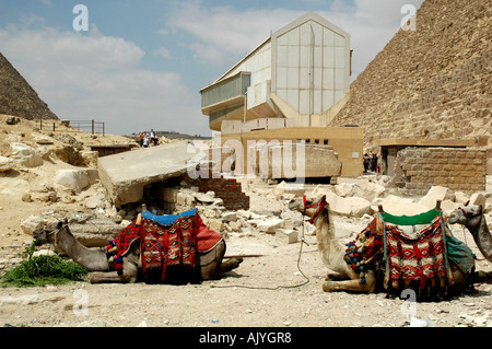 Cammelli in appoggio vicino a barca solare, Giza, Egitto Foto Stock