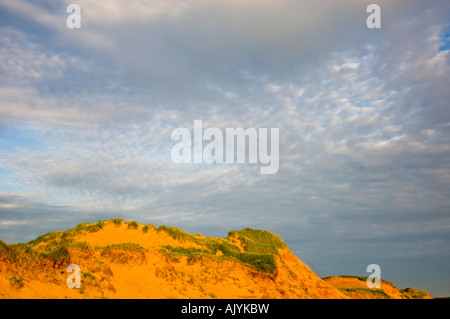 Dune di graminacee, Prince Edward National Park (Isola di Robinson), Brackley Beach, PE/PEI Prince Edward Island, Canada Foto Stock