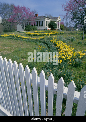 Narcisi e redbud alberi fioriscono nei pressi del John Trimble House, una storica fattoria ospita nel centro storico di stato di Washington Park Foto Stock