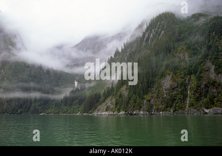 Una vista di un ripido ma densa foresta primaria lungo la costa nel passaggio interno in una nebbiosa mattina la principessa Louisa ingresso. Foto Stock