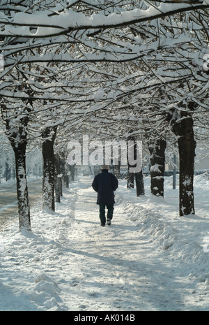 Uomo che cammina verso il basso una coperta di neve alberata marciapiede in inverno Foto Stock