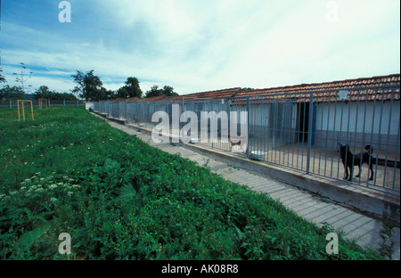 Animal Shelter / Eisenach / Tierheim Foto Stock