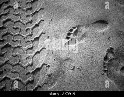 Tratti distintivi di footprint e stampe di pneumatico artificiale naturali Puerto del Rosario Fuerte Ventura Isole Canarie Spagna Europa Foto Stock
