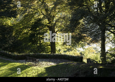 Regno Unito Inghilterra Cumbria, The Lake District, Rydal, Rydal Mount House & Gardens, casa di William Wordsworth, poeta, alberi, panchina, UK071010062 Foto Stock