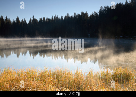 Nebbia di mattina su lago prealpino in autunno, Grand Mesa National Forest, Colorado, STATI UNITI D'AMERICA Foto Stock