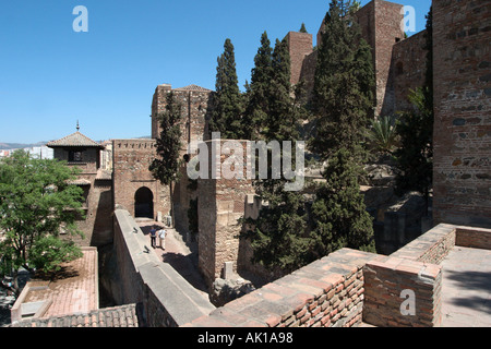 Alcazaba, Malaga, Costa del Sol, Andalusia, Spagna Foto Stock