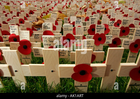 Croci & Papaveri collocato nel campo del ricordo nei motivi di Westminster Abbey, per onorare le vittime della guerra Foto Stock