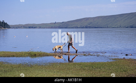 USA OREGON Giuseppe a piedi un cane lungo un lungolago vicino lago Wallowa in Oregon orientale Foto Stock