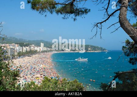 Vista sul resort dal promontorio, Lloret de Mar, Costa Brava, Catalunya, Spagna Foto Stock