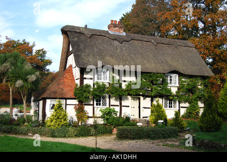 Cottage con tetto in paglia, Lymington, Hampshire, Inghilterra, Regno Unito Foto Stock