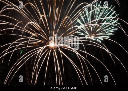 I fuochi d'artificio in cielo notturno Foto Stock