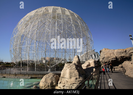 La voliera in oceanografia presso la Città delle Arti e delle Scienze di Valencia, Spagna Foto Stock