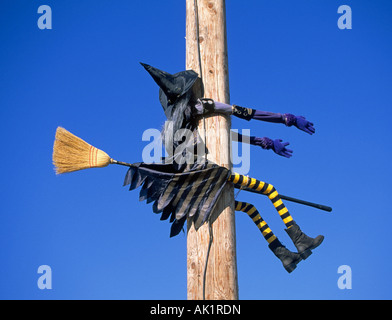 Un Halloween strega in un cappello appuntito ha un improvviso arresto su un polo elettrico nel mese di ottobre Foto Stock