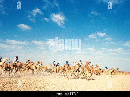 Viaggi, Emirati Arabi Uniti, Dubai, corsa di cammelli, Foto Stock